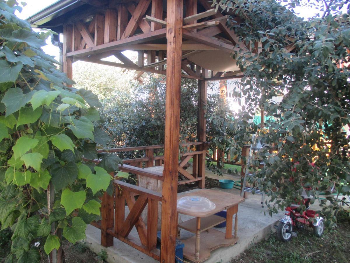 Guest House У Дедушки Самвела Alakhadze Bagian luar foto